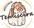 Sin_título-1-removebg-preview
